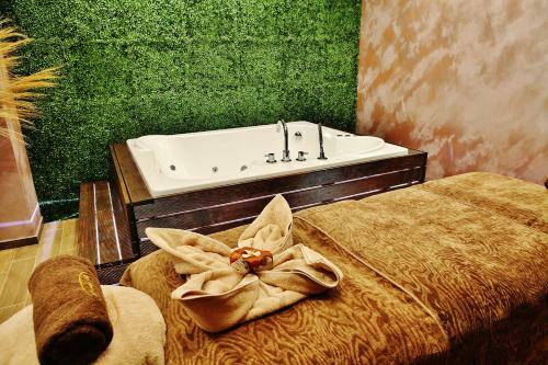 Hotel Infinity & Spa Park Velingrad