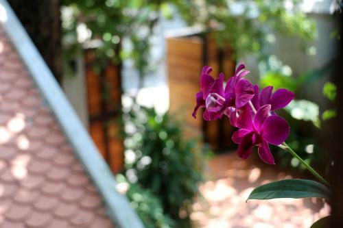 Corner9 Bassac Boutique Hotel