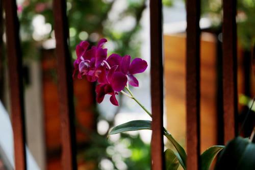 Corner9 Bassac Boutique Hotel