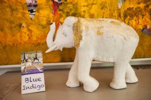 Lodge Blue Indigo Yoga Retreat