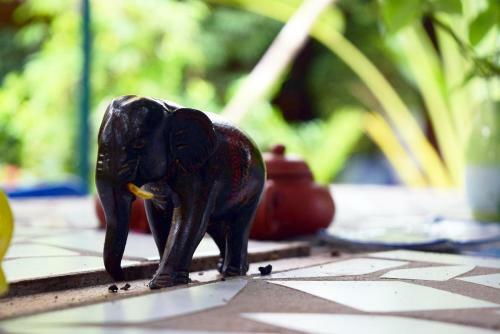 Lodge Blue Indigo Yoga Retreat