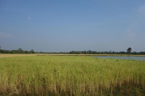 Agroturismo Yanick's Angkor Cottage