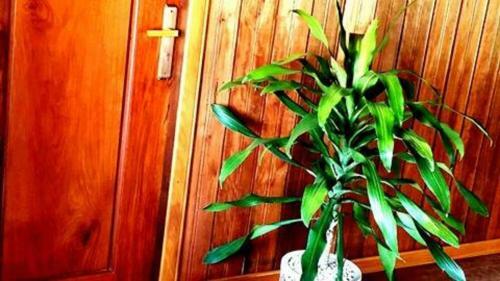 Siem Reap Khmer House