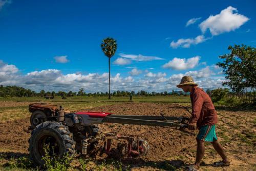 Vacation Experience As Cambodia Local