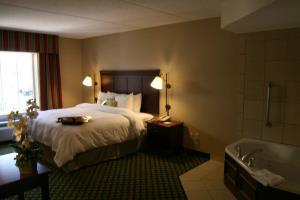 Hotel Hampton Inn & Suites Berkshires-lenox