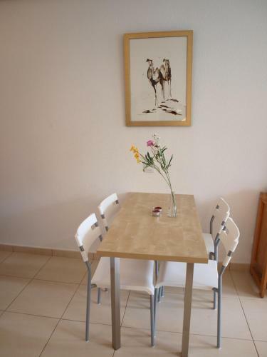 Apartamentos Optimist