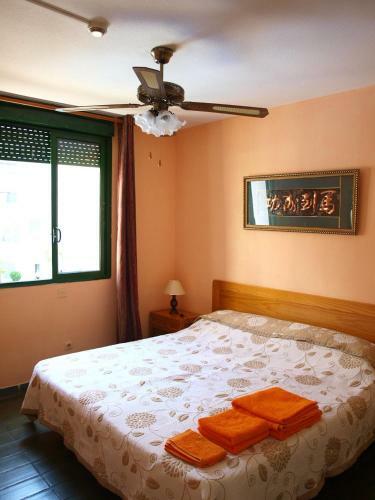 Apartamentos Optimist
