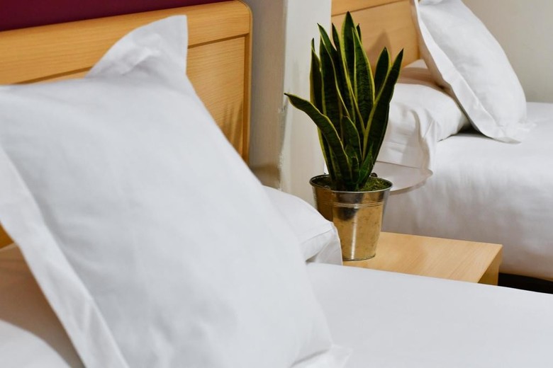 Hotel Celta