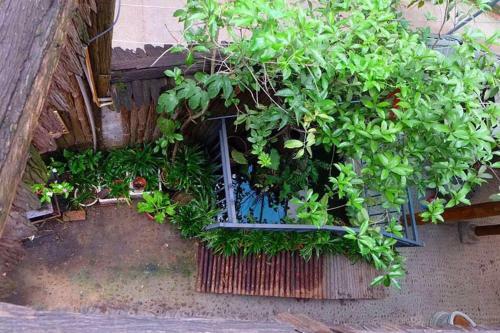 Hostal Guilin Beishe Lijiangbian Guest House