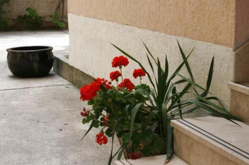 Hostal Double Room Baska Voda 6704a