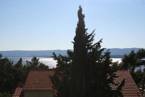 Apartments And Rooms With Wifi Bol (brac) - 2875