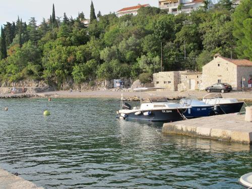 Apartamento Ferienwohnung Crikvenica 241s