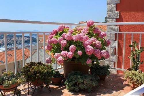 Apartments With Wifi Dubrovnik - 8975