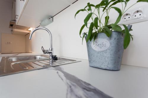 Apartment Cinereus A58