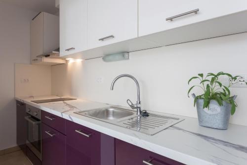 Apartment Cinereus A58