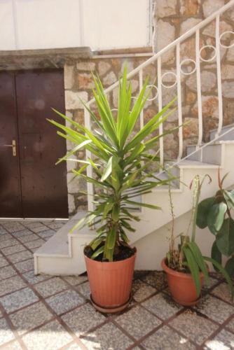 Apartments And Rooms With Parking Space Dubrovnik - 2148