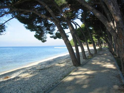 Apartment In Fazana/istrien 8633