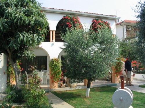 Apartment In Fazana/istrien 8633