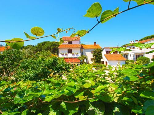 Apartmensts Nikola 1023