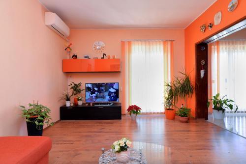 Apartments Pink 1785