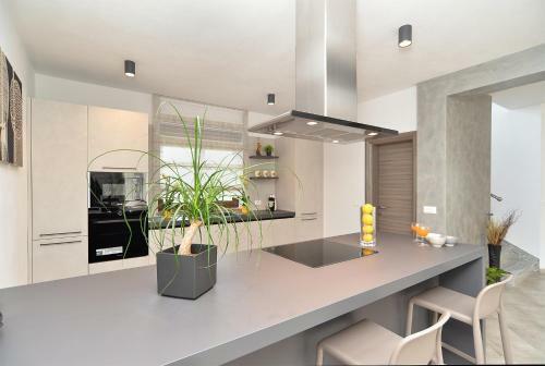 House Roberto 1384