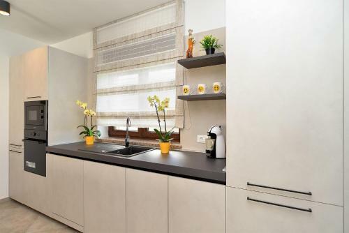 House Roberto 1384