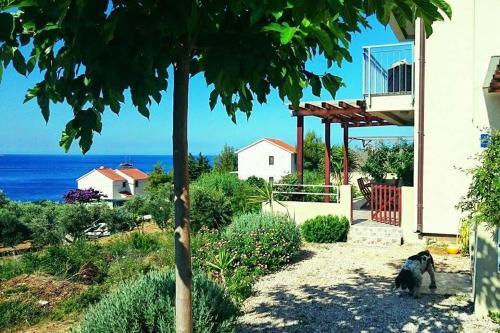 Apartments By The Sea Zavala (Hvar) - 8637