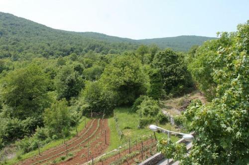 Hostal Twin Room Veli Brgud 7840c