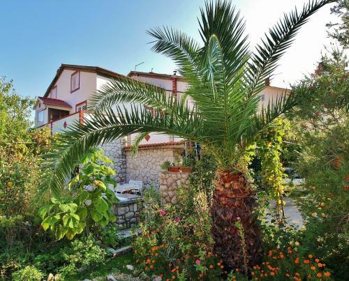 Apartments Ivans