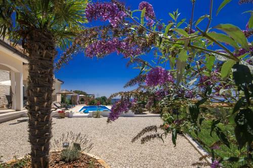 Villa Vista Fantastica
