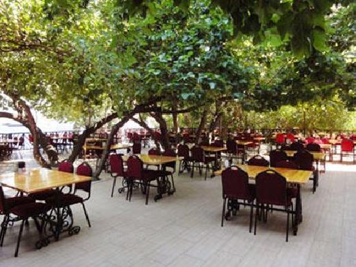 Hotel Golmar Beach