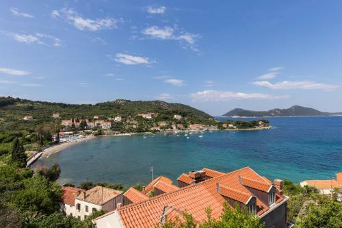 Apartments Miskovic