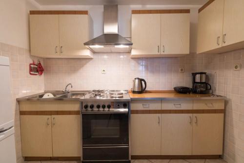 Apartment In Krsan 8861