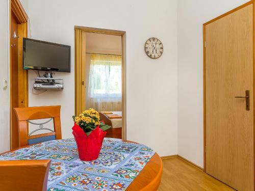Apartment Drinovac