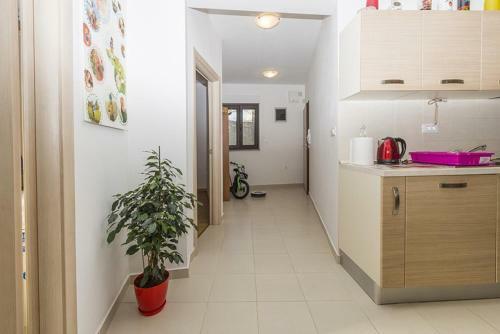 Family 2 Bedroom Apartment