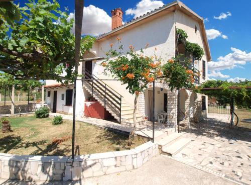 Apartments Marija 939