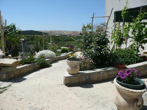 Two-bedroom Apartment In Lopar IV
