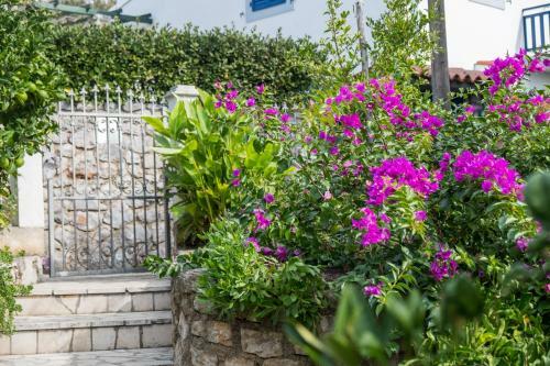 Apartments Bozena
