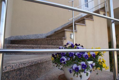 Apartments In Malinska/insel Krk 12794