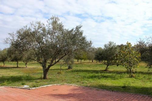 Apartment Loborika 12983a