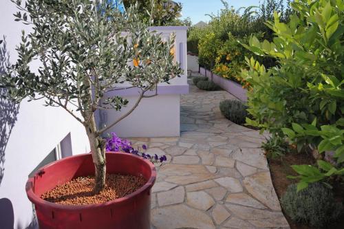 Hostal Twin Room Zadar - Diklo 5770b