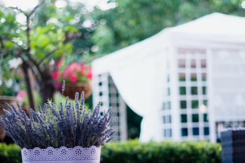 Garden Apartment