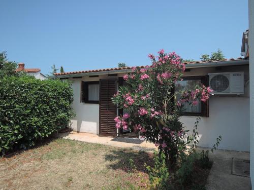 Apartment In Pula With One-bedroom 9