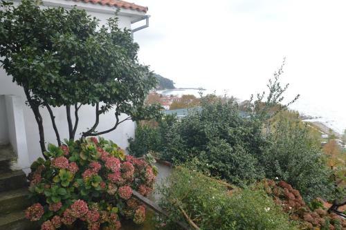 Apartamento Pelion Orama
