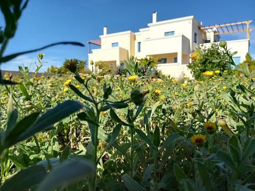 Hostal Amforeas Retreat Guesthouse