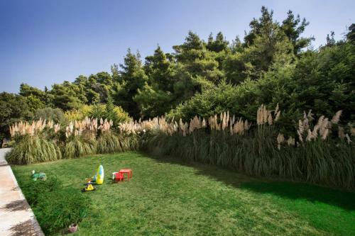 #flh - Pampa Grass House
