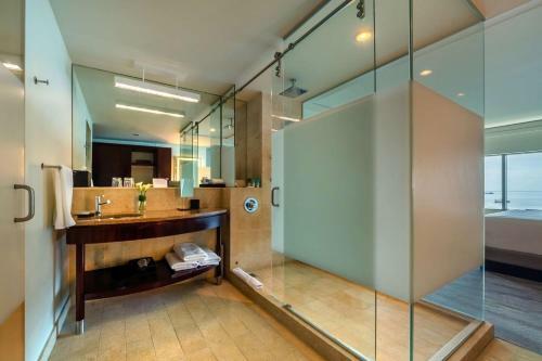 Hotel Hyatt Regency Trinidad