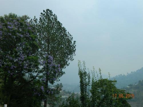 Bhowali Homestay