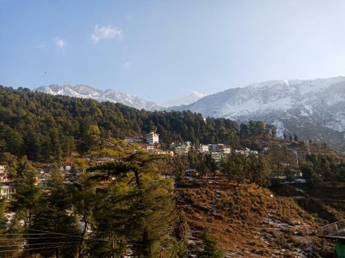Hotel Pine Spring