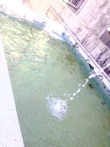 Apartamento 2 Bhk Hlc Homes Non AC